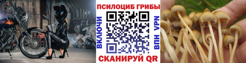 Псилоцибиновые грибы прущие грибы  МЕГА рабочий сайт  Волжск 